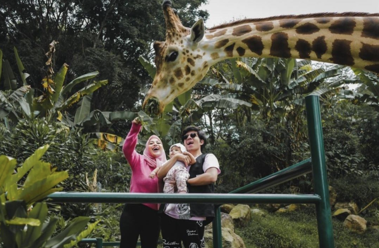 Atta Halilintar, Aurel Hermansyah dan Ameena di kebun binatang. (Instagram)
