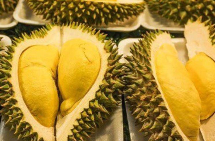 Ilustrasi durian.