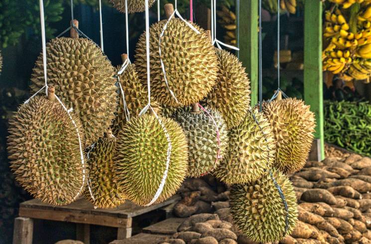 Foto: Ilustrasi durian (pexels/Tom Fisk)